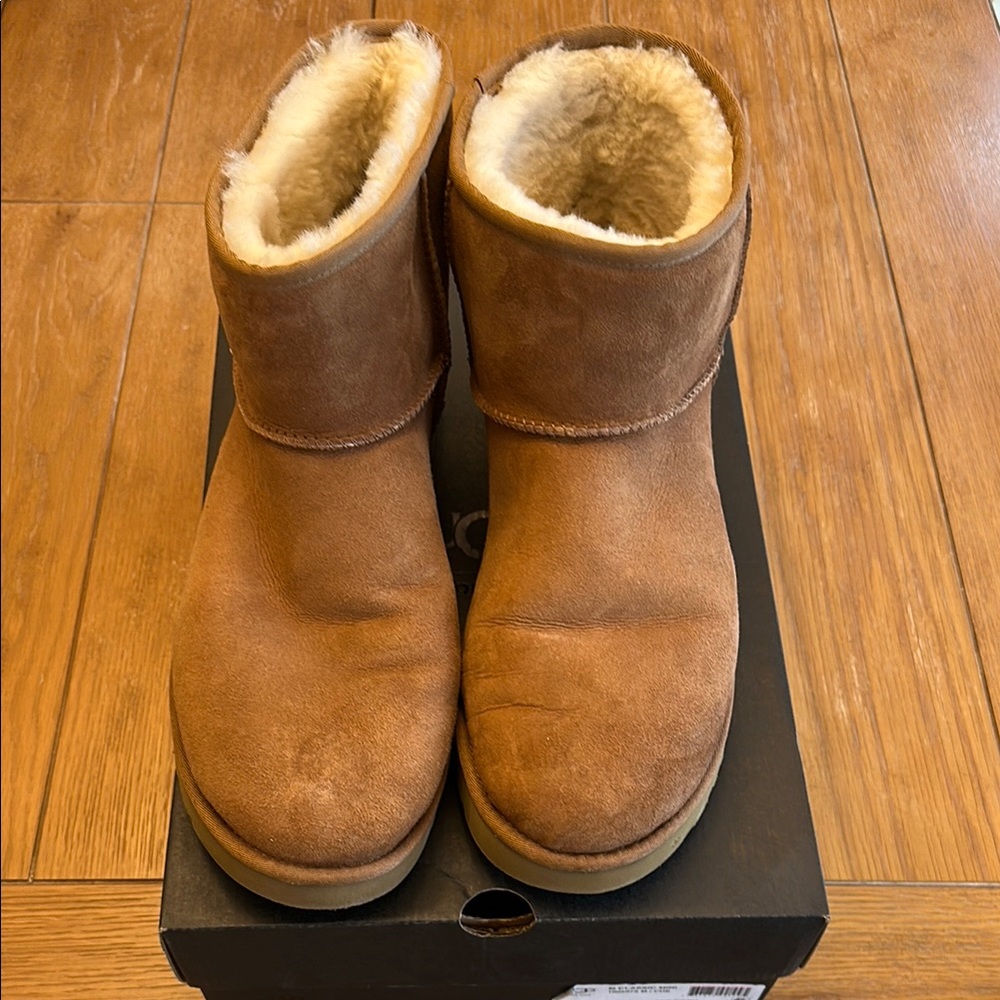 UGG Men's Classic Mini boot